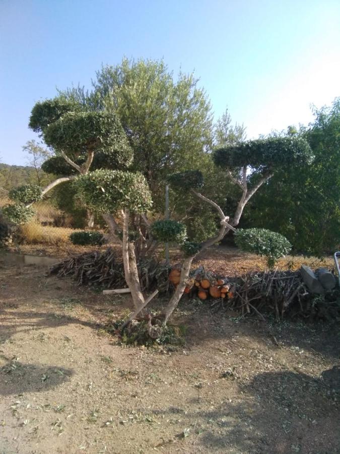 Lo Tros Villa Botarell Buitenkant foto