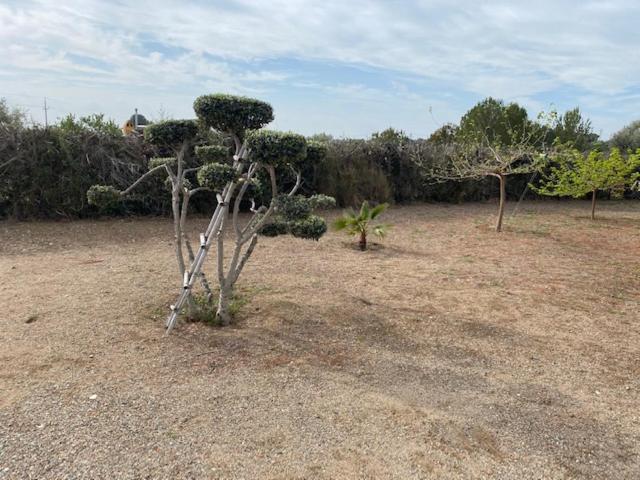 Lo Tros Villa Botarell Buitenkant foto